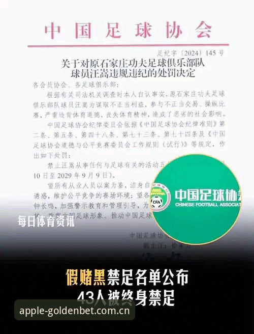 资深足球迷分享：通过金宝搏平台追踪足协禁足名单的实操体验
