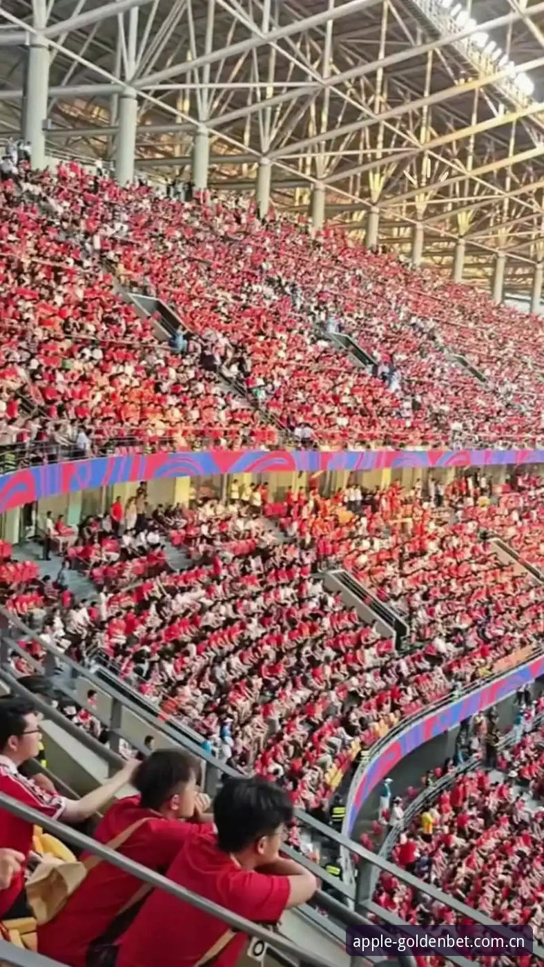 揭秘世界杯“冷场”背后：签证危机与地缘政治如何浇灭球迷热情？
